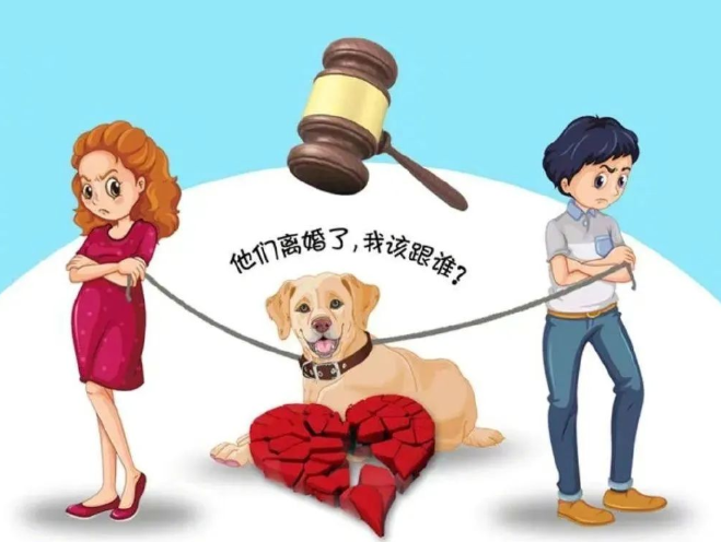 夫妻離婚不爭車房只爭寵物狗，法院這份判決有新意！