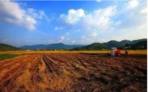 農村土地征收補償標準2022