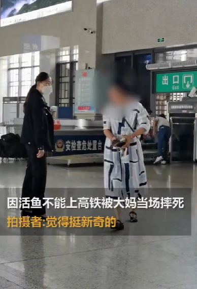 京云<a href=http://www.shengmiao.com.cn/team/ target=_blank class=infotextkey>律師</a>解讀：帶活魚坐高鐵被阻止，大媽當(dāng)場摔死魚！車站：密封后可帶上車