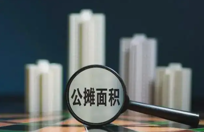 公攤面積過大業主怎么維權？