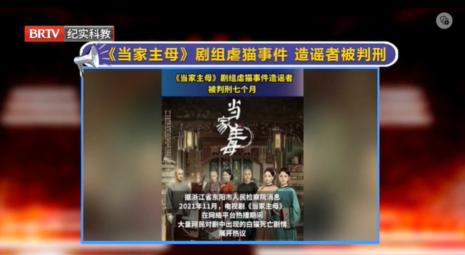 《當(dāng)家主母》劇組虐貓事件”造謠者被判刑7個(gè)月