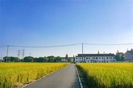 “一地二包”，誰最終有權獲得？