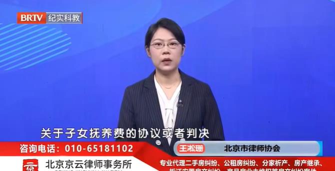 北京京云<a href=http://www.shengmiao.com.cn/group/ target=_blank class=infotextkey>律師事務所</a>王凇珊律師